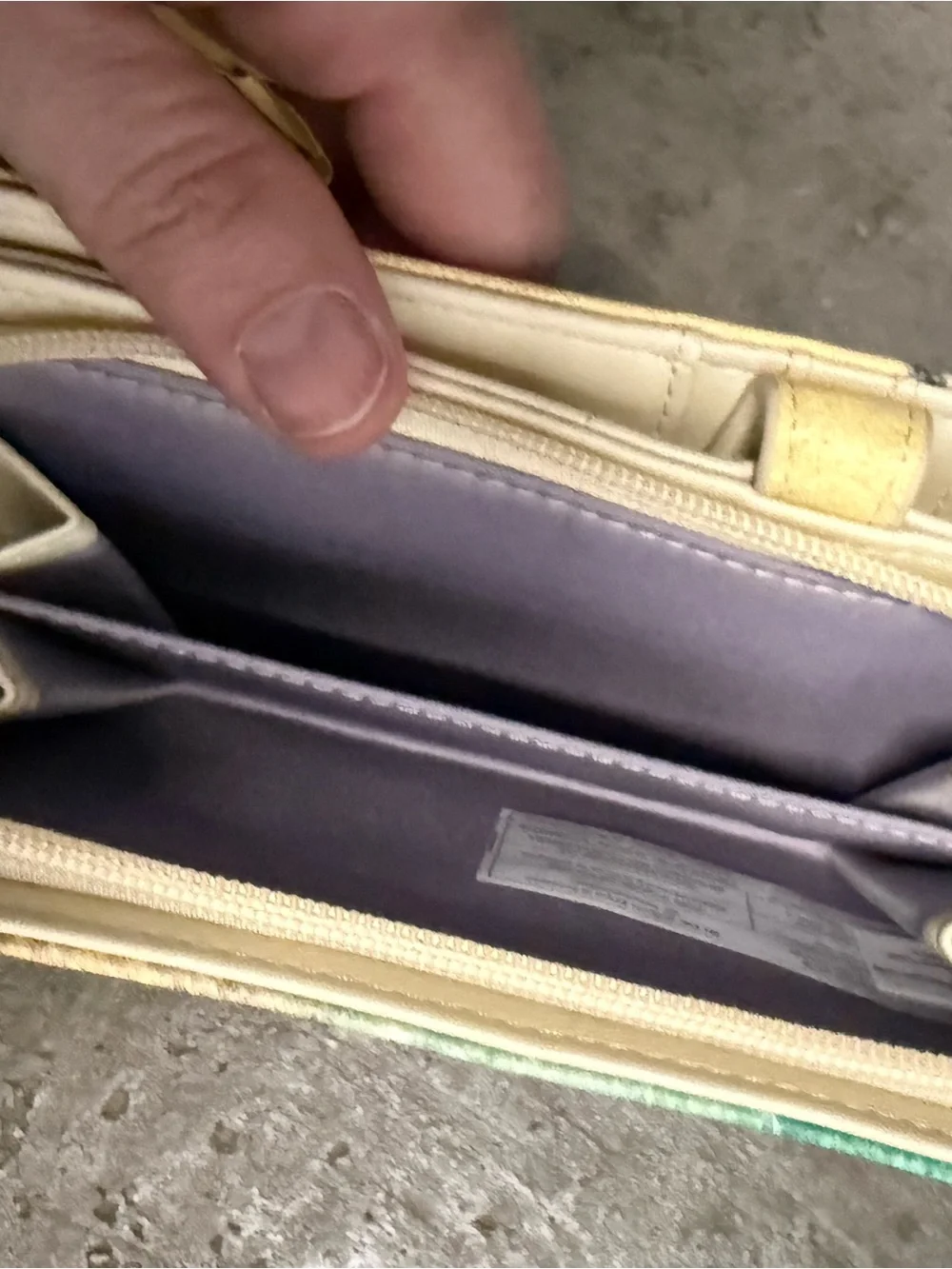Sea Turtle Wallet Phone Case in Sand & Aqua